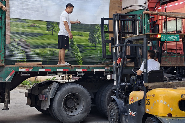 Proyecto Estatal Grid Henan 2025 completado