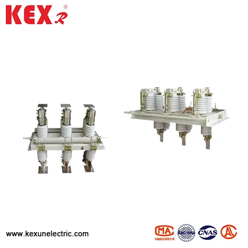 Desconector de HV giratorio de HV tipo GN30